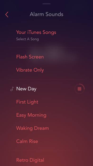 Rise Alarm Clock Schermata dell'app #4