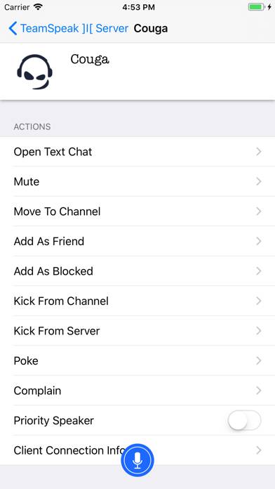 TeamSpeak 3 App-Screenshot #3