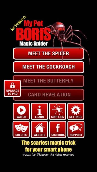 Magic Spider App screenshot #1