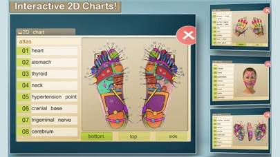 Total Reflexology-3D App screenshot #1