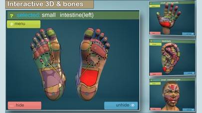 Total Reflexology-3D Schermata dell'app #5