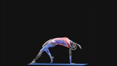 IYoga Captura de pantalla de la aplicación