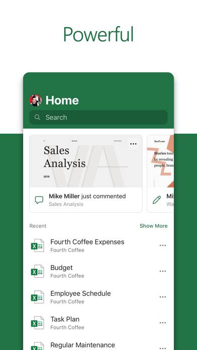 Microsoft Excel App screenshot #1