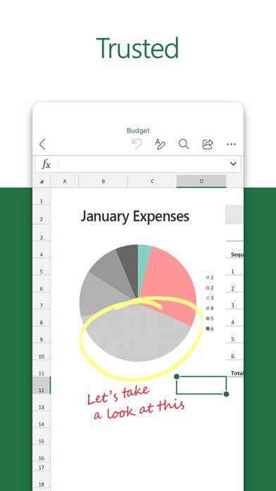 Microsoft Excel Captura de pantalla de la aplicación #2