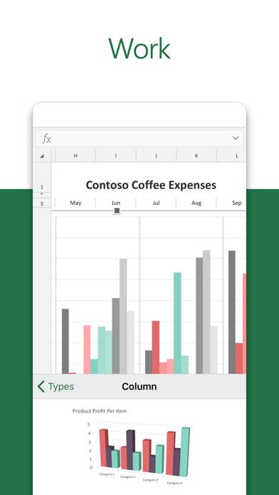 Microsoft Excel Captura de pantalla de la aplicación #3