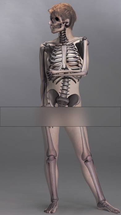 Life Drawing Schermata dell'app