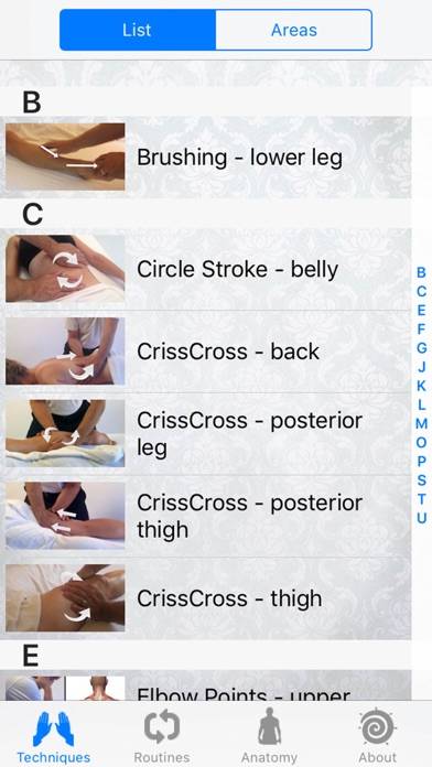Massage Techniques Captura de pantalla de la aplicación #3
