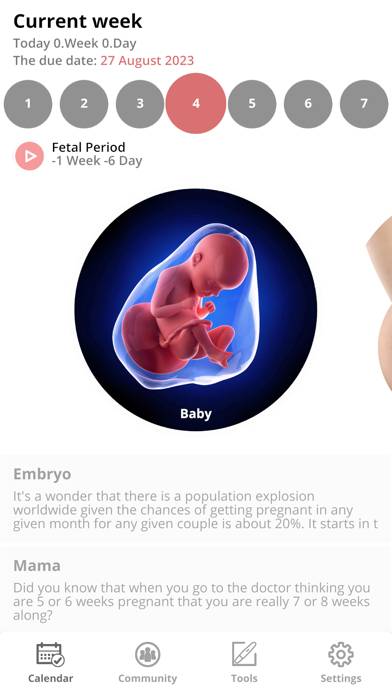 Pregnancy Tracker and Baby Uygulama ekran görüntüsü #1