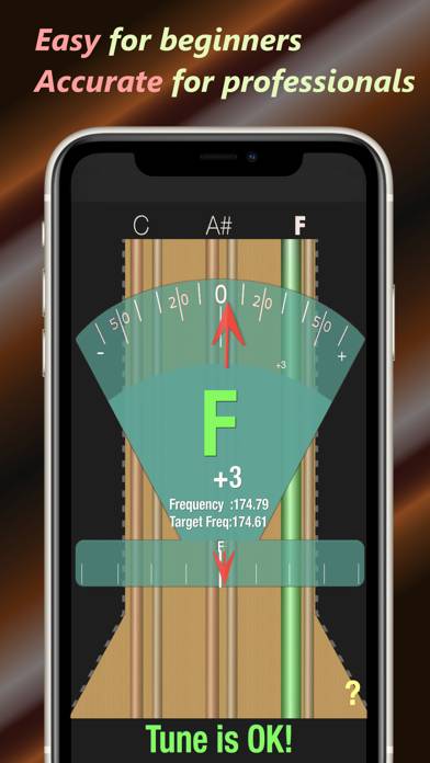 Baglama Tuner Schermata dell'app #1