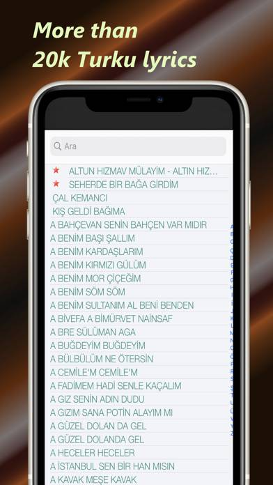 Baglama Tuner Schermata dell'app #4