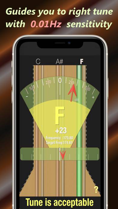 Baglama Tuner Schermata dell'app #5
