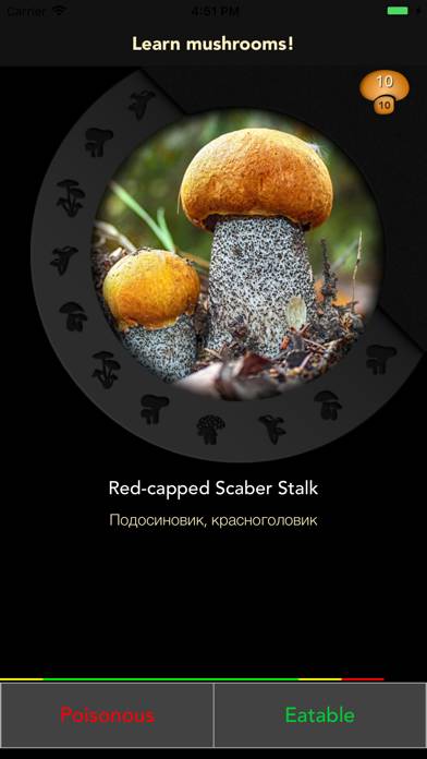 Learn Forest Mushrooms App screenshot #1