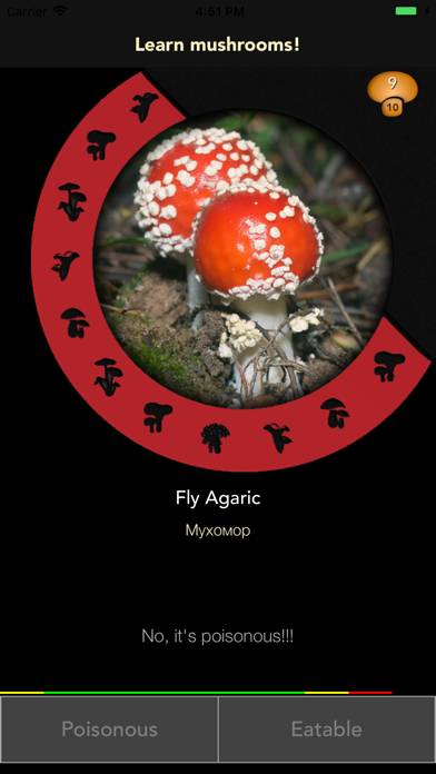 Learn Forest Mushrooms App screenshot #3