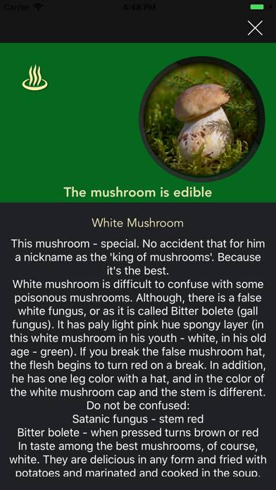 Learn Forest Mushrooms App screenshot #4