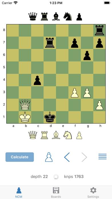 Next Chess Move App skärmdump #3