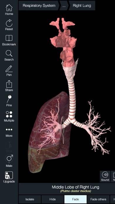Essential Anatomy 5 App skärmdump #3