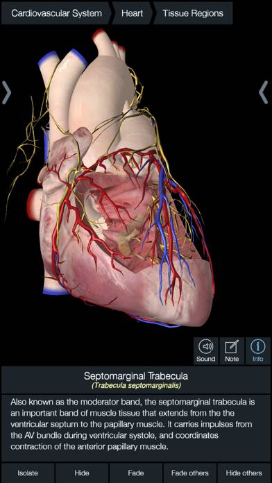 Essential Anatomy 5 Schermata dell'app #5
