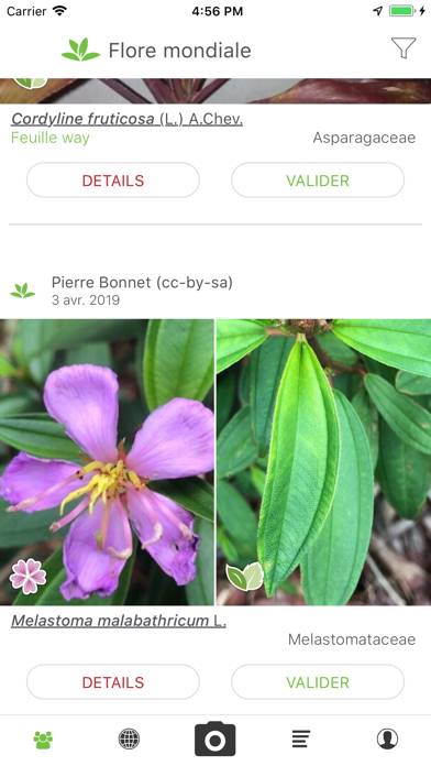 PlantNet App-Screenshot #1