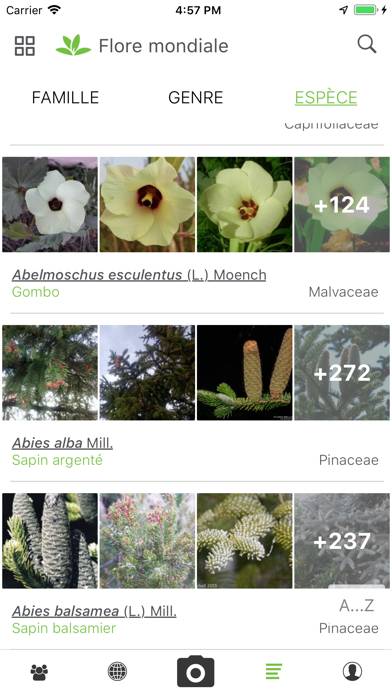 PlantNet App-Screenshot #4