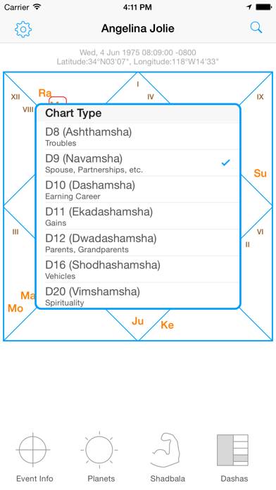 Jyotish Dashboard™ Captura de pantalla de la aplicación #2