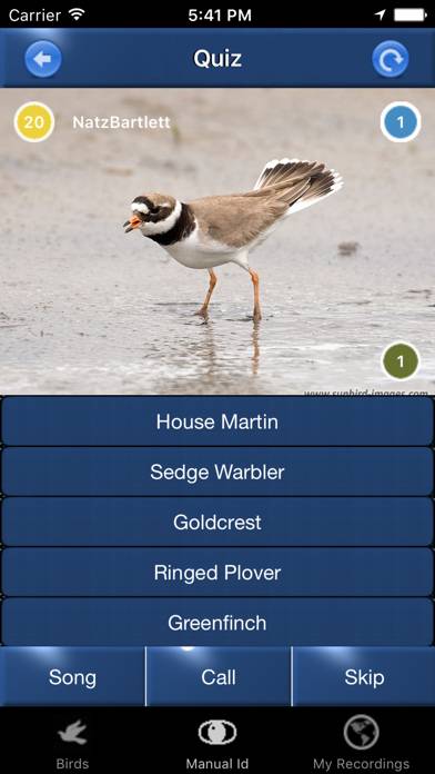 Bird Song Id UK Capture d'écran de l'application #4
