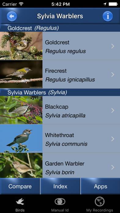 Bird Song Id UK Capture d'écran de l'application #5
