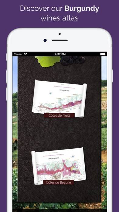 Atlas Bourgogne Schermata dell'app #1