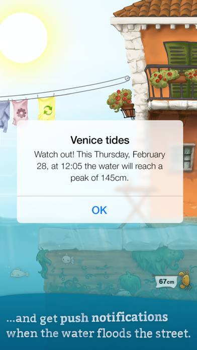 Venice tides App screenshot #5
