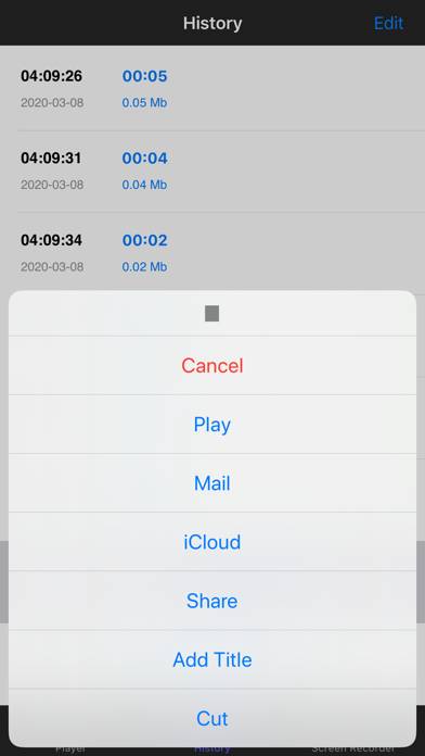 Voice Recorder,Screen Recorder App screenshot #4