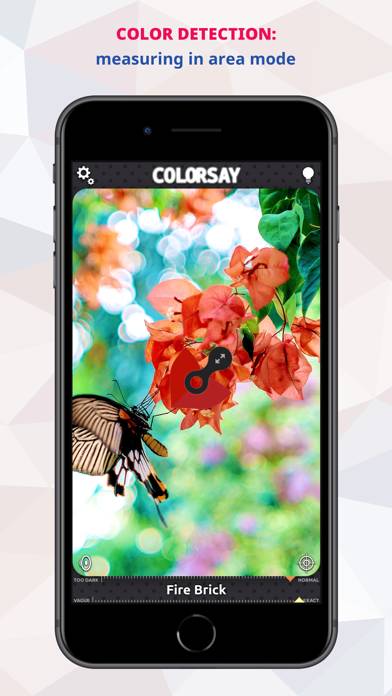 ColorSay • Color Scanner Schermata dell'app #1