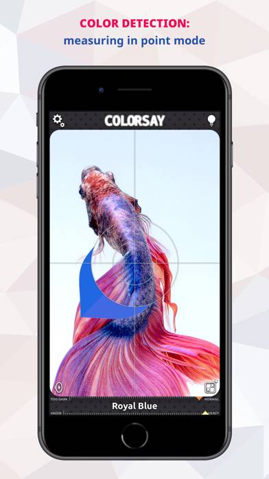 ColorSay • Color Scanner App-Screenshot #2