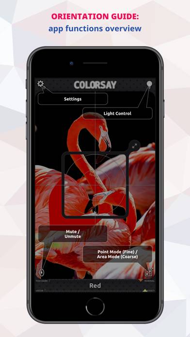 ColorSay • Color Scanner Schermata dell'app #4