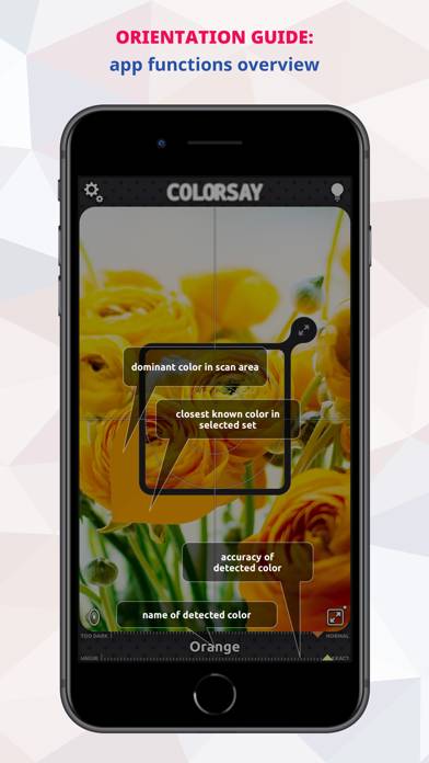ColorSay • Color Scanner Schermata dell'app #5