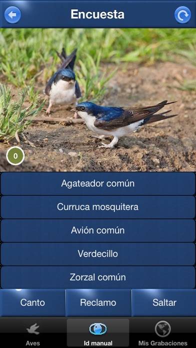 Cantos de Aves Id Captura de pantalla de la aplicación #5