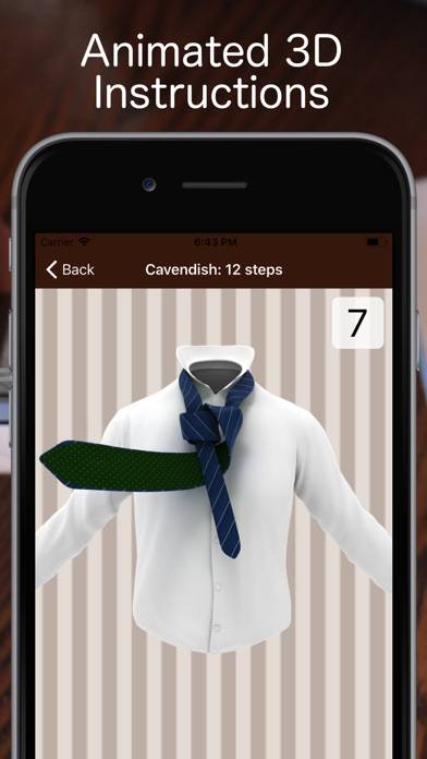 Tie a Necktie 3D Animated App screenshot #1