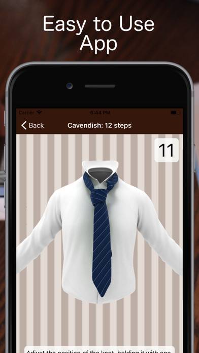 Tie a Necktie 3D Animated App screenshot #5