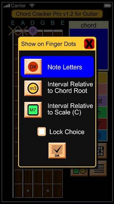 Guitar Chord Cracker Pro Schermata dell'app #3