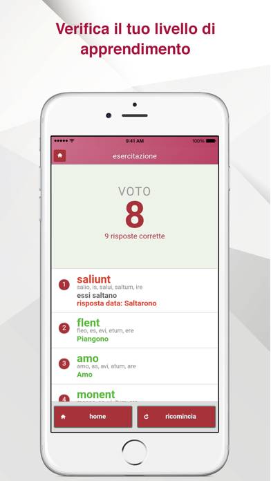 Verbi Latini Schermata dell'app #5