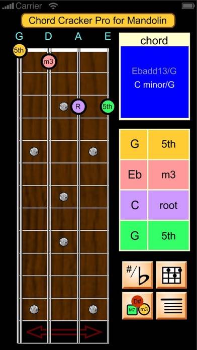 Mandolin Chord Cracker Pro App skärmdump #1