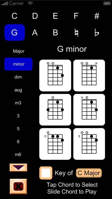 Mandolin Chord Cracker Pro App skärmdump #2
