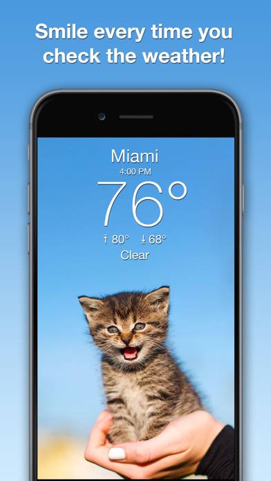 Weather Kitty: Weather plus Radar App screenshot #1