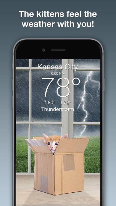 Weather Kitty: Weather plus Radar App screenshot