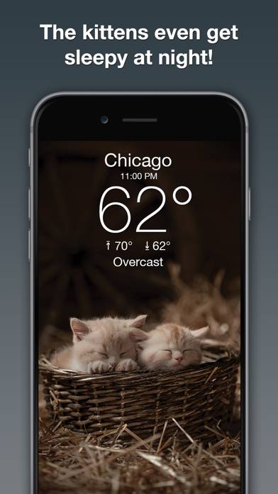 Weather Kitty: Weather plus Radar App screenshot #4