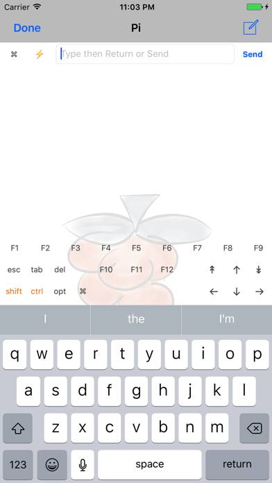 Remote Pi App-Screenshot #3