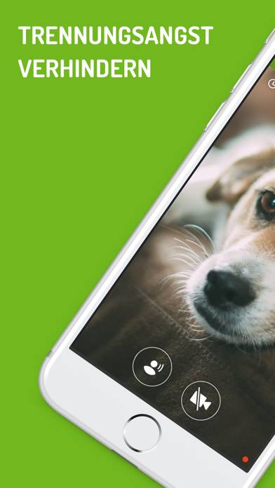 Dog Monitor App-Download [Aktualisiertes Feb 23]