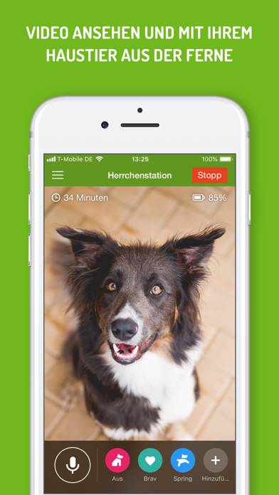 Dog Monitor App-Screenshot #4