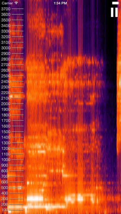 Live Spectrogram Capture d'écran de l'application