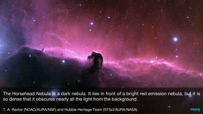 Kiwaka skärmdump av spelet