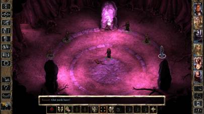 Baldur's Gate II: EE App skärmdump #2