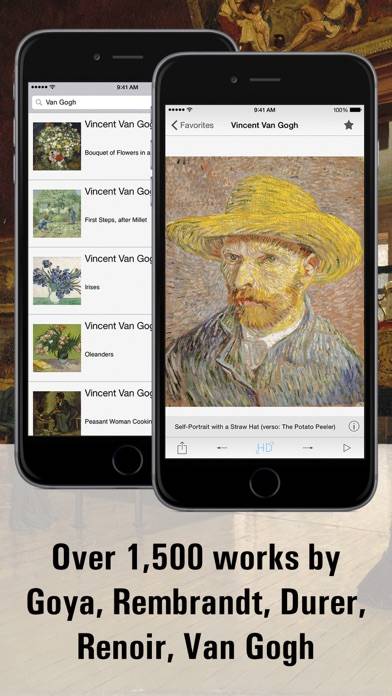 Metropolitan Museum HD Schermata dell'app #1